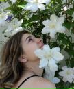 Фотография Сирень Светланы