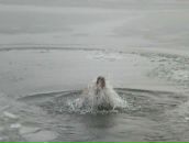 Фотография Лысенко Игоря