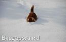 Анжеліка Лобода фотография #9 (источник - https://vk.com/id162229143)