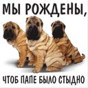 Кіра Товмаш фотография #8 (источник - https://vk.com/id45985525)