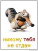  фотография #20