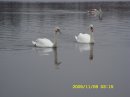 Іван Лаврик фотография #39 (источник - https://vk.com/id51816276)