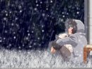 Акамару Питомец_Кибы фотография #10 (источник - https://vk.com/id17626039)