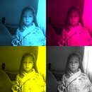 Дзвіночка Кубай фотография #1