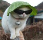 Максім Вiтковський фотография #26 (источник - https://vk.com/id157925550)