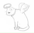 Юрій Дригайло фотография #15 (источник - https://vk.com/id2790845)