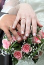Фотография Садыкова Альбина