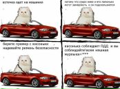 Кит Кит фотография #30 (источник - https://vk.com/id462945)