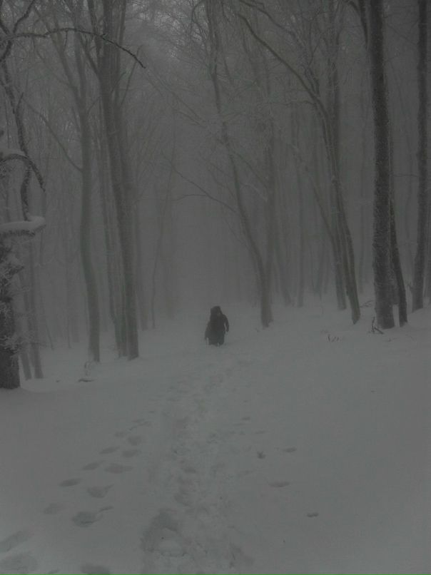 Дмитрий Журба фотография #40