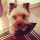 Alex G фотография #12 (источник - https://vk.com/id335467)