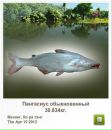 Сєрий Матвійшин фотография #6 (источник - https://vk.com/id111466338)