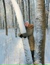 Фотография Зайцевой Елены