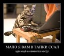 Фотография Каширина Ильи