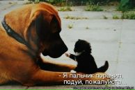 Борис Сергеевич фотография #5 (источник - https://vk.com/id223648)