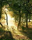 Іра Кудрик фотография #33 (источник - https://vk.com/id137136216)