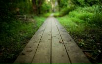 Фотография Казначеева Константина