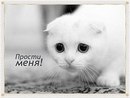 Настюша Василів фотография #37 (источник - https://vk.com/id163985688)