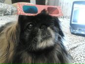 Фотография Галкиной Юлии