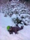Наталія Кіндзерська фотография #15 (источник - https://vk.com/id144709807)