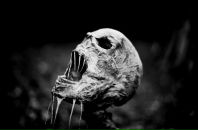 Виктор Ребров фотография #4 (источник - https://vk.com/id2443301)