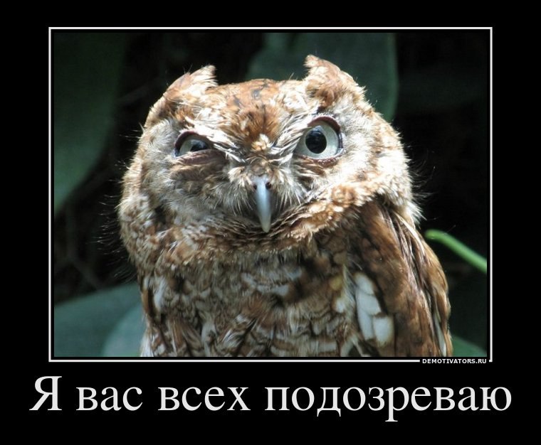 Игорь Будник фотография #29