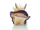 Фотография Яковлева Евгения