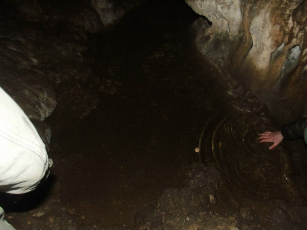 Александр Мищенко фотография #40