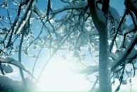 Фотография Ni Natalia