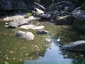 Ігор Носалюк фотография #46 (источник - https://vk.com/id33754899)