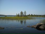 Ivan Ostapenko фотография #27 (источник - https://vk.com/id1696641)