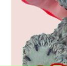 Юлія Андрощук фотография #42 (источник - https://vk.com/id144664281)