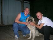 Фотография Матвеева Олега