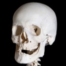 Фотография Скаржевского Вадима