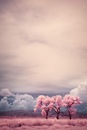Катя Кадони фотография #17 (источник - https://vk.com/id2779117)