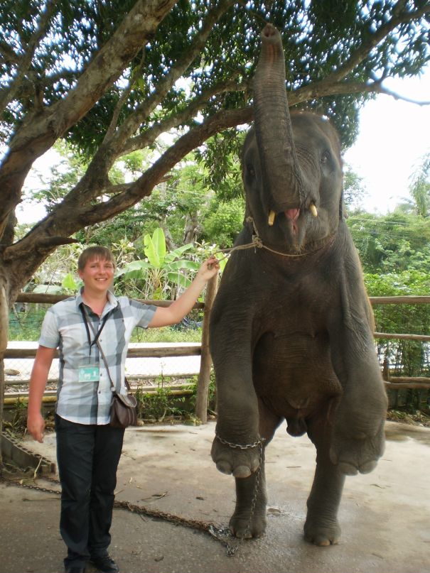 Александр Лисиченко фотография #10