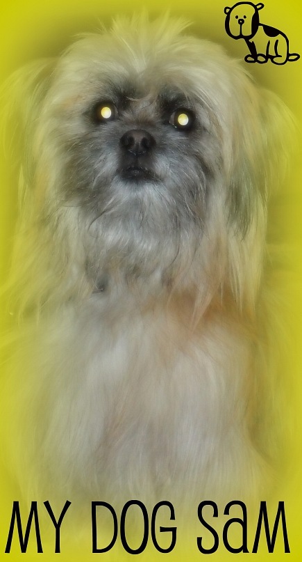 Наталья Торопова фотография #43