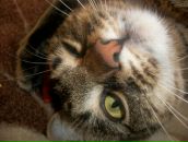 Валерій Матіїшин фотография #5 (источник - https://vk.com/id13193276)