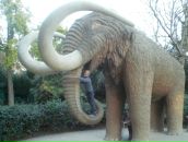 Тимур Набієв фотография #38 (источник - https://vk.com/id5858569)