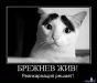 фотография #49