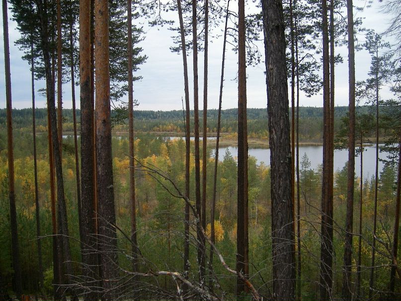 Иван Бородулин фотография #27