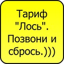 Тарас Бабій фотография #29 (источник - https://vk.com/id115009585)