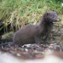 Egor Strelnikov фотография #5 (источник - https://vk.com/id2521377)