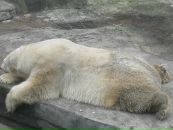 Фотография Васильевой Любови