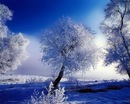 Таня Новаківська фотография #39 (источник - https://vk.com/id117624391)
