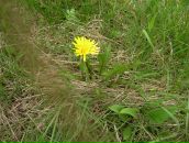 Віта Драч фотография #41 (источник - https://vk.com/id87258244)