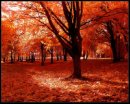 Діаночка Сторожинська фотография #34 (источник - https://vk.com/id60248684)