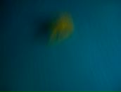 Ірина Матвійчук фотография #10 (источник - https://vk.com/id38795452)