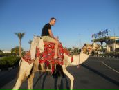 Сергій Петрівський фотография #7 (источник - https://vk.com/id52922977)