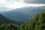 Дмитрий Нечаенко фотография #49 (источник - https://vk.com/id2969246)