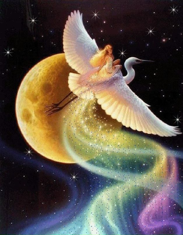 Наталия Паскаленко фотография #12